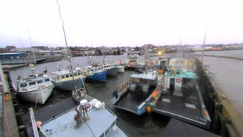 Lobster Rock Wharf East