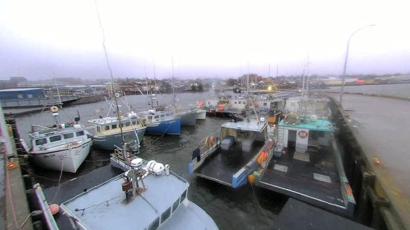 Lobster Rock Wharf East