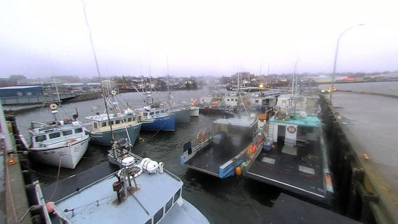 Lobster Rock Wharf East