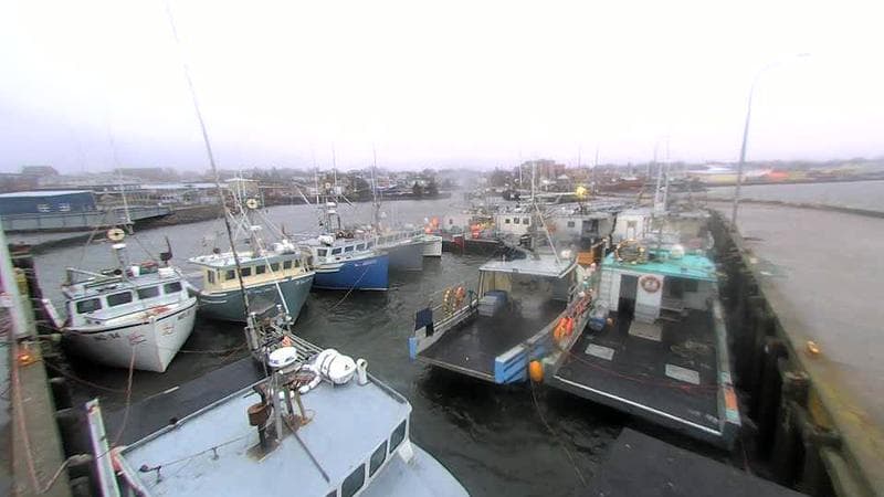 Lobster Rock Wharf East