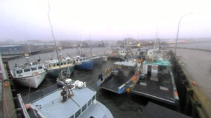 Lobster Rock Wharf East