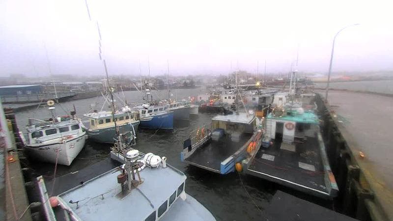 Lobster Rock Wharf East