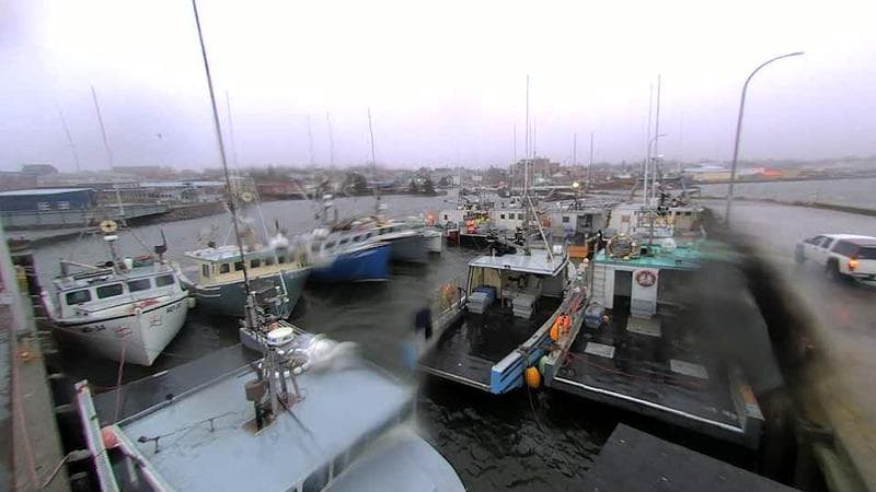 Lobster Rock Wharf East