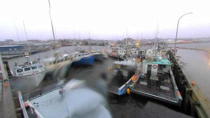 Lobster Rock Wharf East