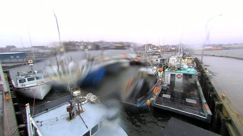 Lobster Rock Wharf East