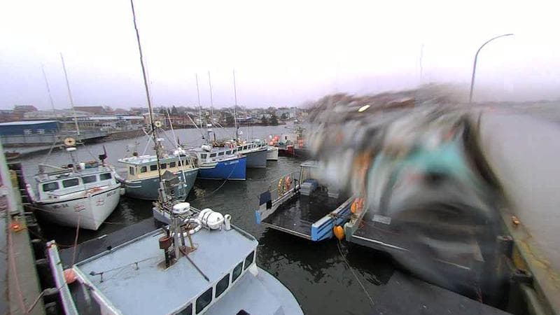 Lobster Rock Wharf East