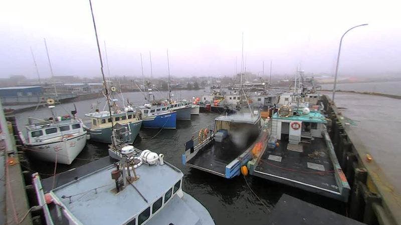 Lobster Rock Wharf East