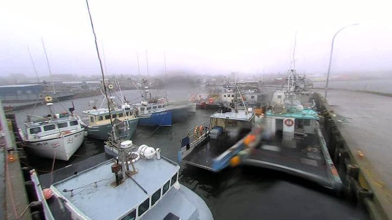 Lobster Rock Wharf East