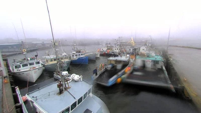 Lobster Rock Wharf East
