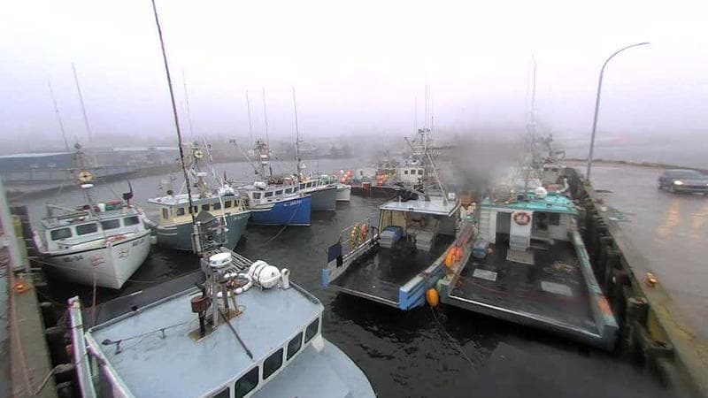 Lobster Rock Wharf East