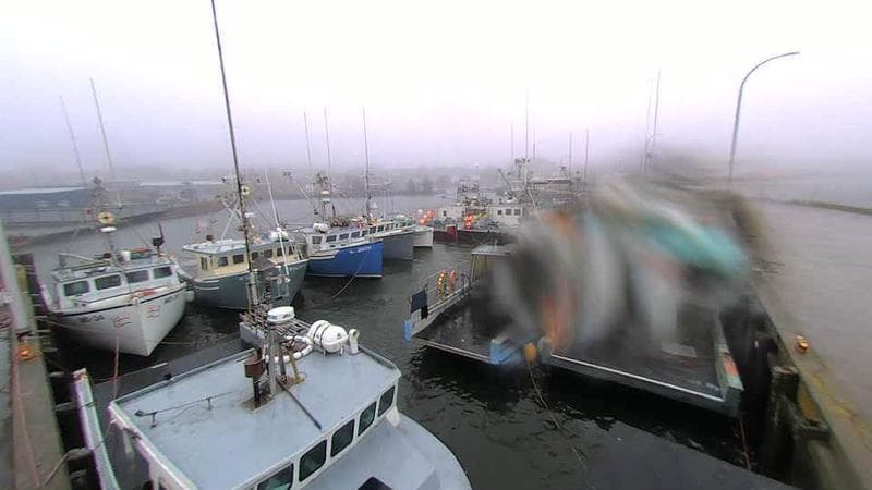 Lobster Rock Wharf East