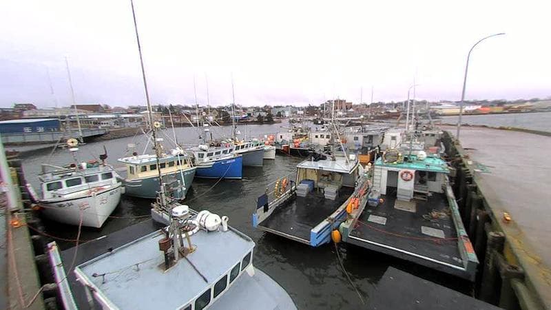 Lobster Rock Wharf East