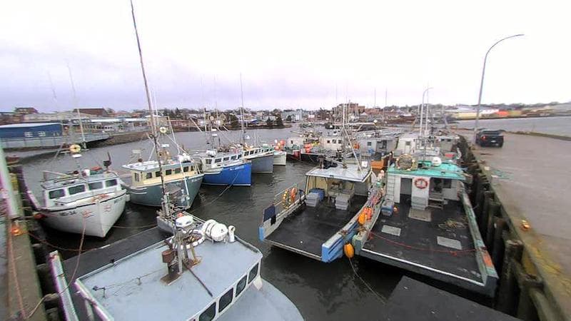 Lobster Rock Wharf East