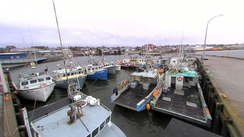 Lobster Rock Wharf East