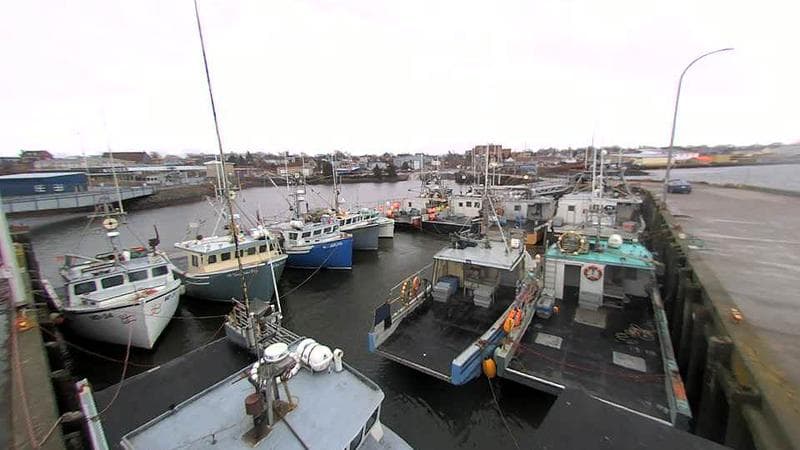 Lobster Rock Wharf East