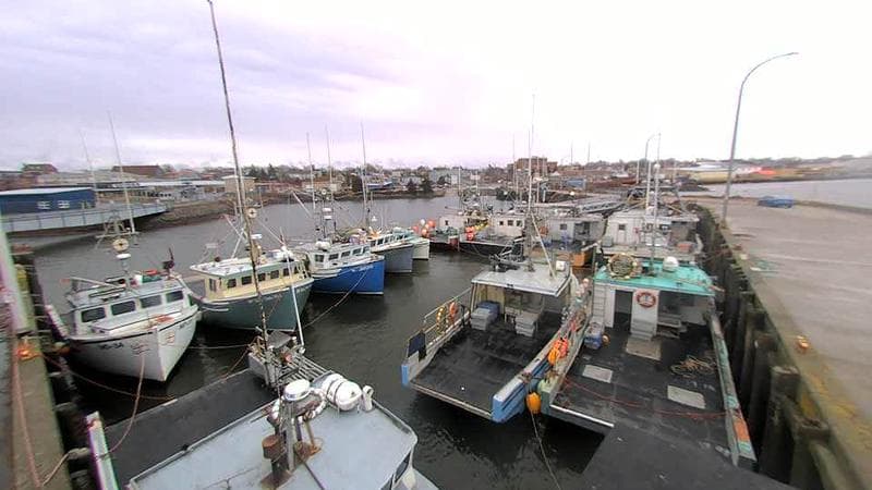 Lobster Rock Wharf East