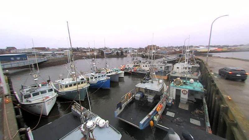 Lobster Rock Wharf East