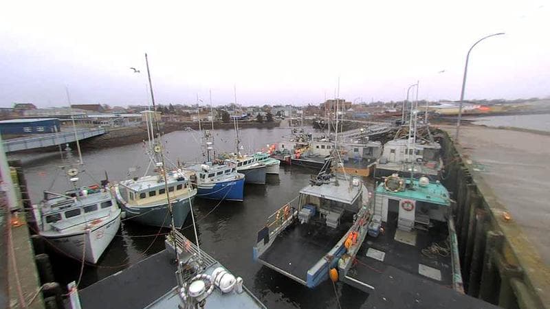 Lobster Rock Wharf East
