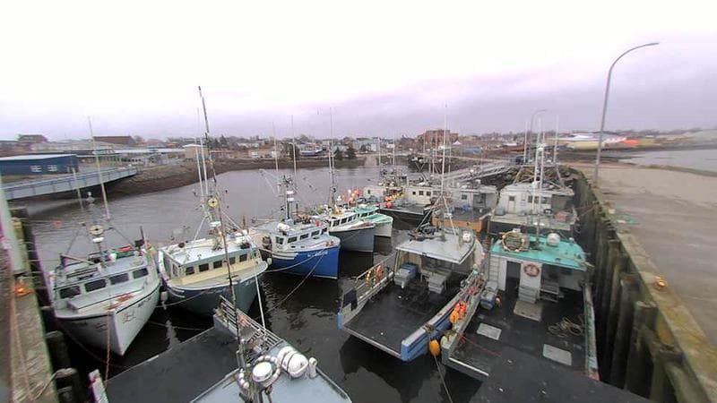 Lobster Rock Wharf East