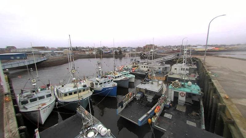 Lobster Rock Wharf East