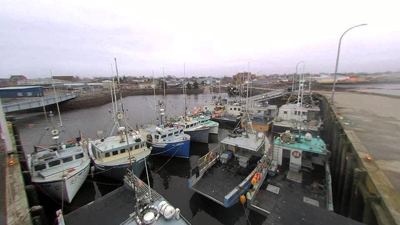 Lobster Rock Wharf East