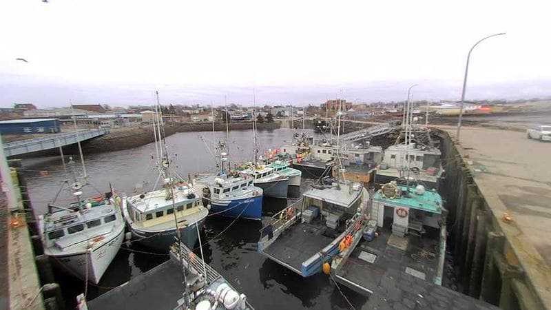 Lobster Rock Wharf East