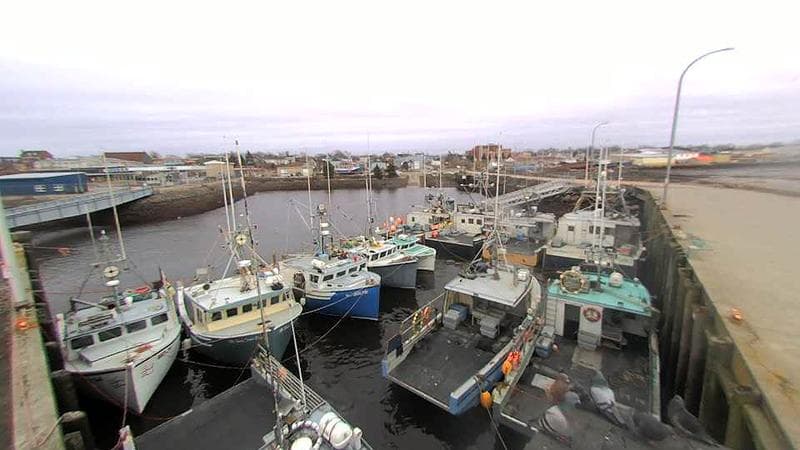 Lobster Rock Wharf East