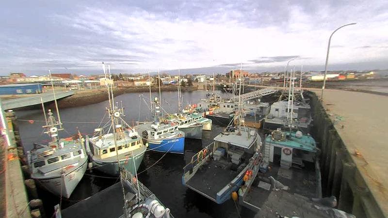 Lobster Rock Wharf East
