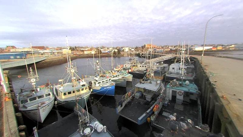 Lobster Rock Wharf East