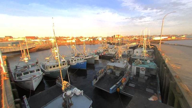 Lobster Rock Wharf East