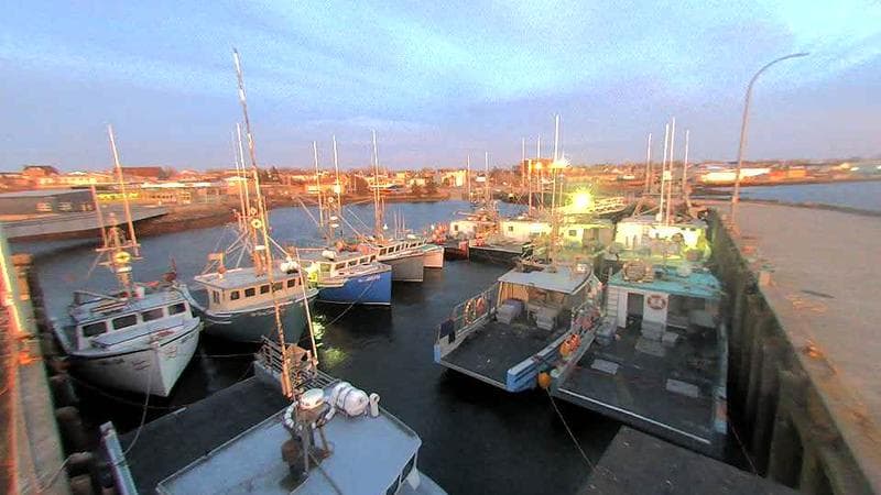 Lobster Rock Wharf East