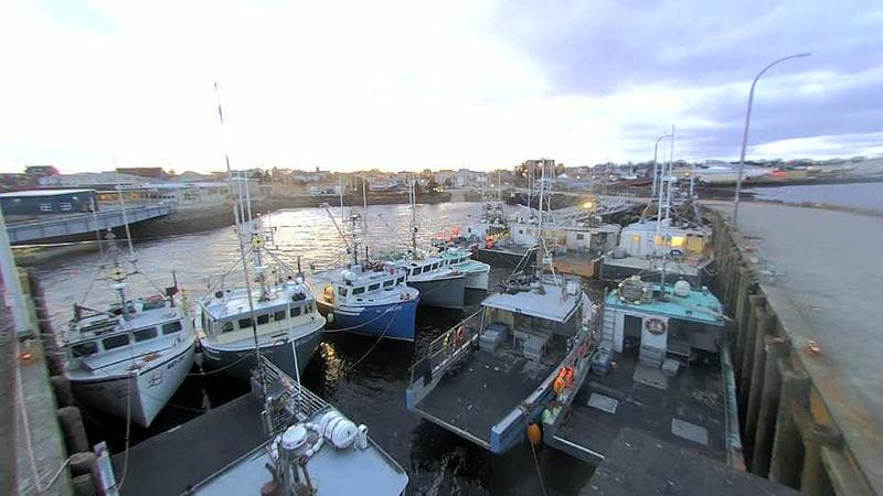 Lobster Rock Wharf East