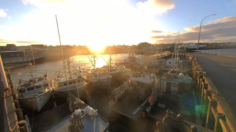 Lobster Rock Wharf East