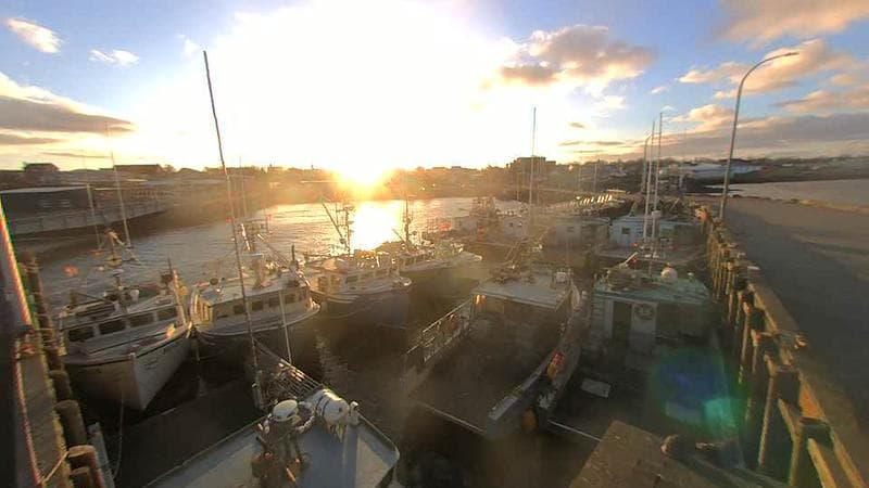 Lobster Rock Wharf East