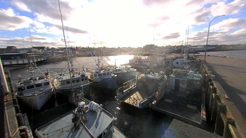 Lobster Rock Wharf East