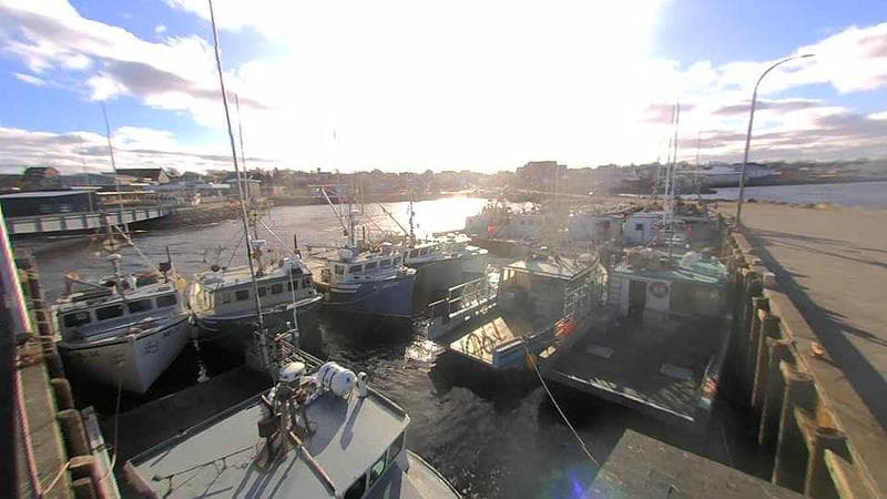 Lobster Rock Wharf East