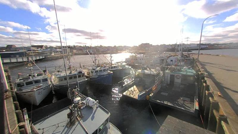 Lobster Rock Wharf East