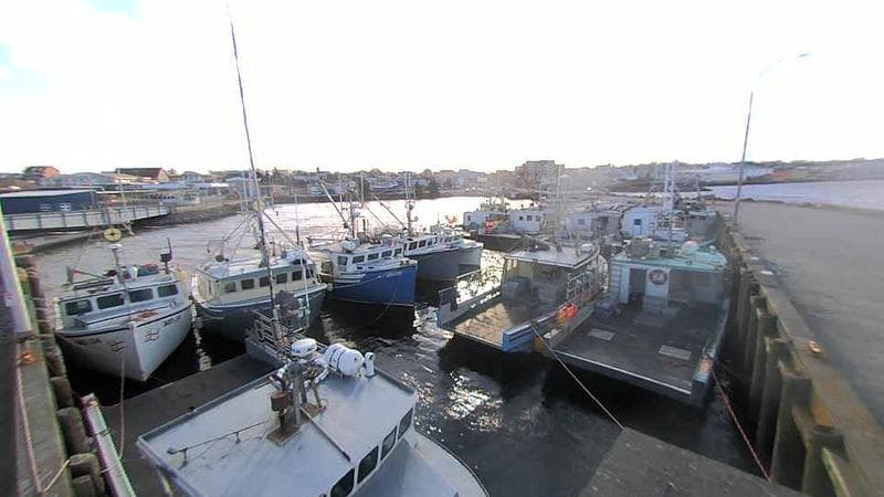 Lobster Rock Wharf East