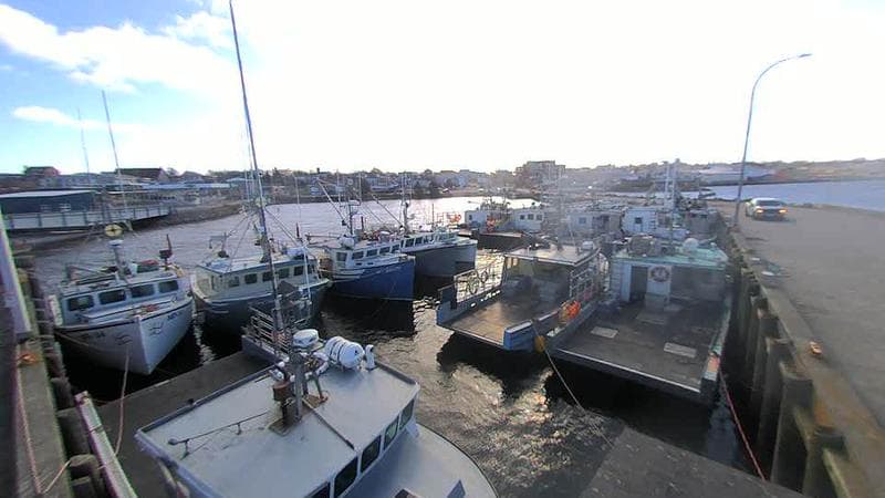 Lobster Rock Wharf East