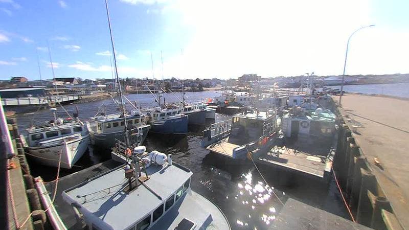 Lobster Rock Wharf East
