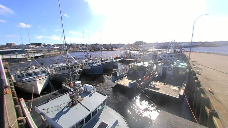 Lobster Rock Wharf East