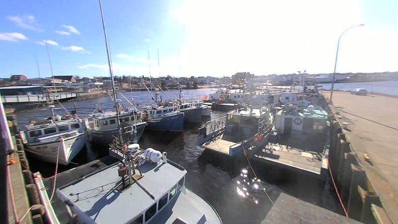 Lobster Rock Wharf East