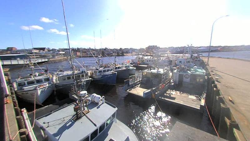 Lobster Rock Wharf East