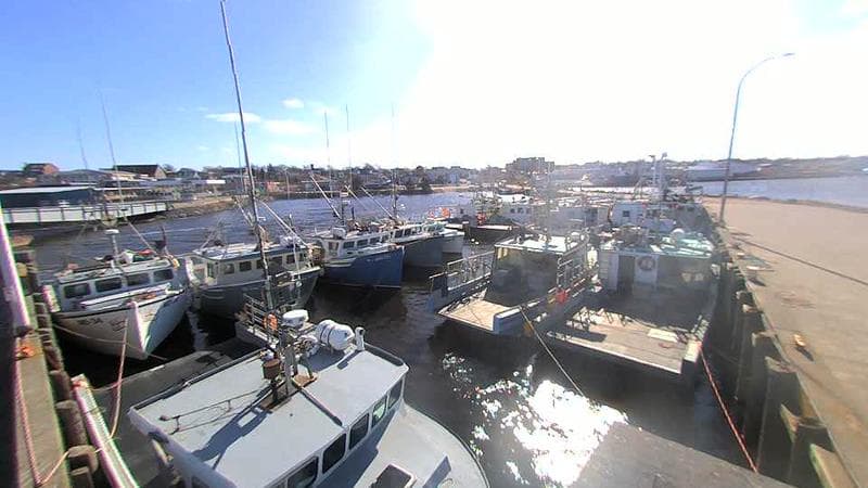 Lobster Rock Wharf East
