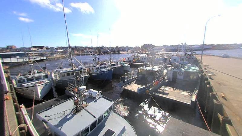 Lobster Rock Wharf East