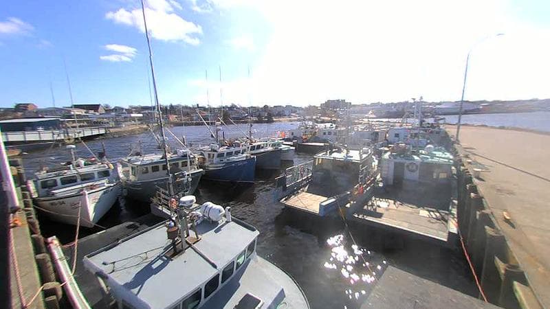 Lobster Rock Wharf East