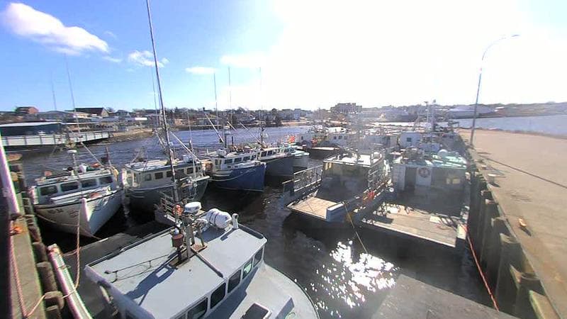 Lobster Rock Wharf East