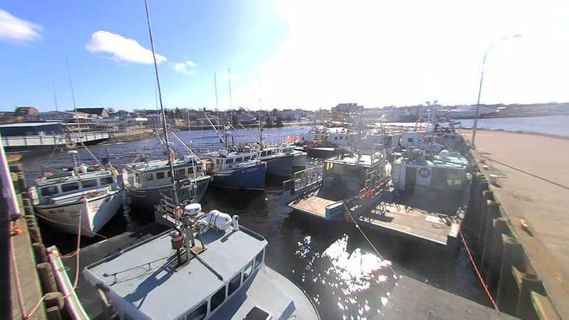 Lobster Rock Wharf East