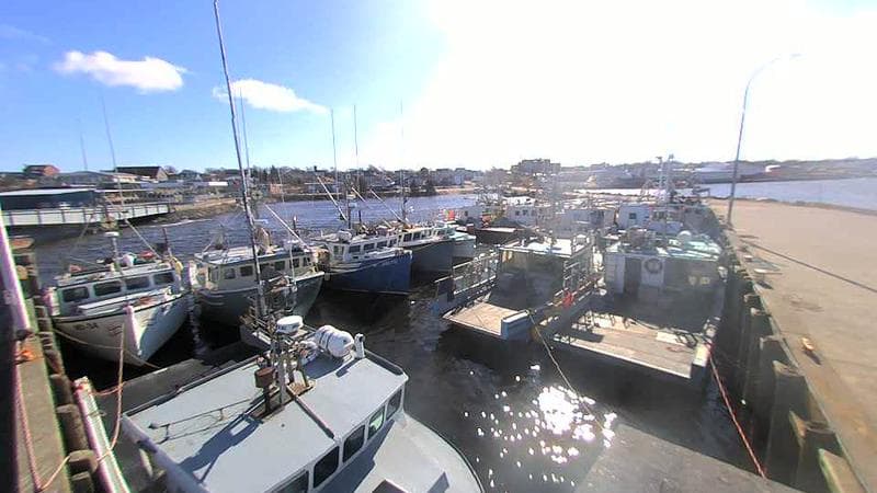 Lobster Rock Wharf East