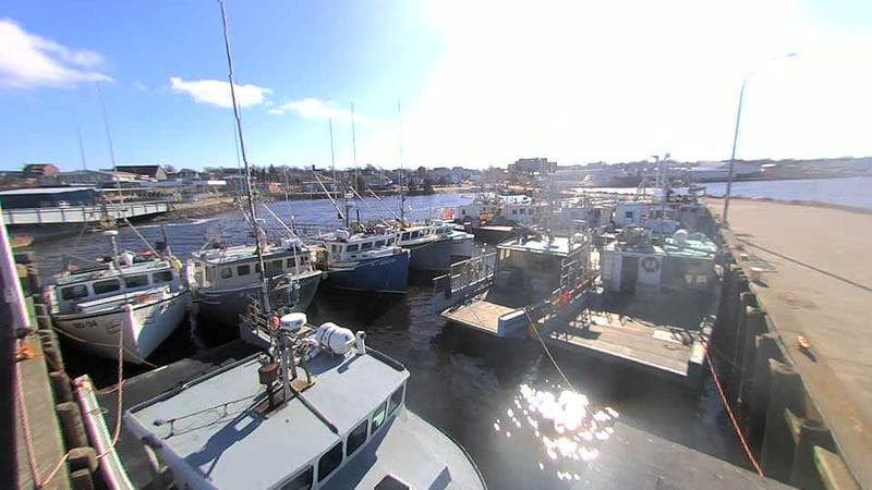 Lobster Rock Wharf East